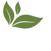 Red Pill Day Limited
